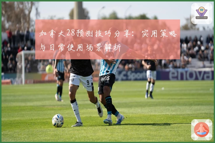 加拿大28预测技巧分享：实用策略与日常使用场景解析