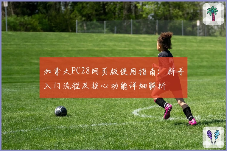 加拿大PC28网页版使用指南：新手入门流程及核心功能详细解析