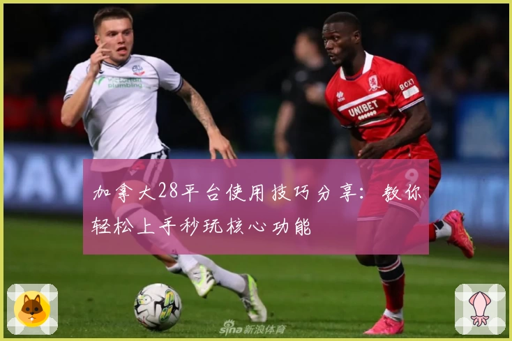 加拿大28平台使用技巧分享：教你轻松上手秒玩核心功能