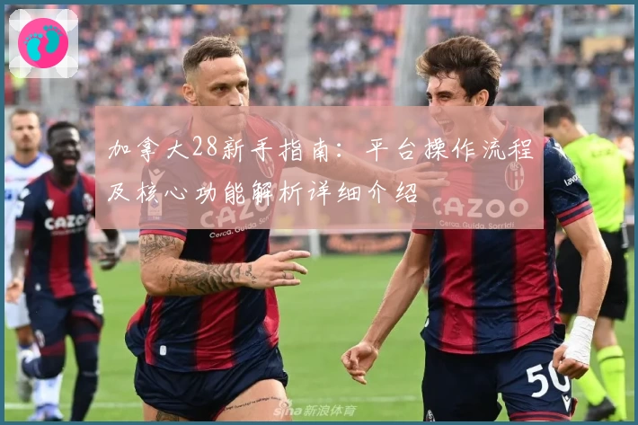 加拿大28新手指南：平台操作流程及核心功能解析详细介绍