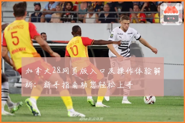 加拿大28网页版入口及操作体验解析：新手指南助您轻松上手