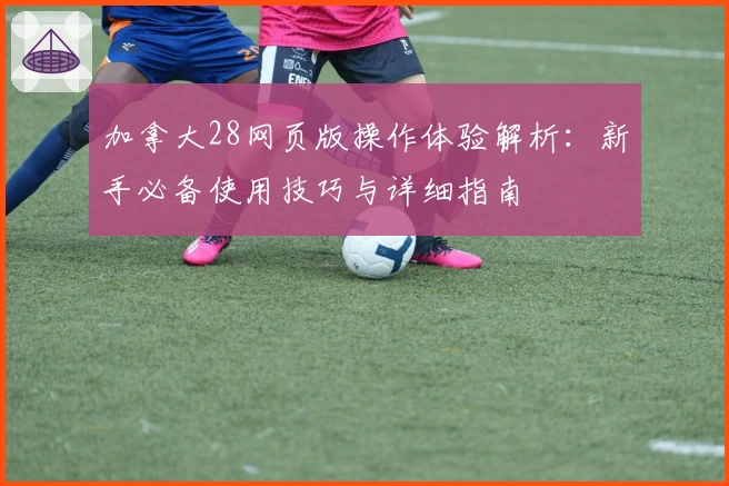 加拿大28网页版操作体验解析：新手必备使用技巧与详细指南
