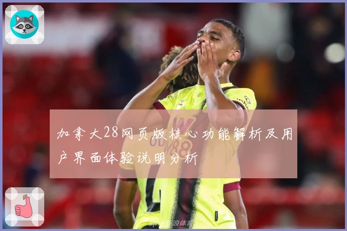 加拿大28网页版核心功能解析及用户界面体验说明分析