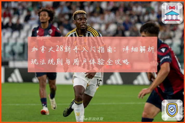 加拿大28新手入门指南：详细解析玩法规则与用户体验全攻略