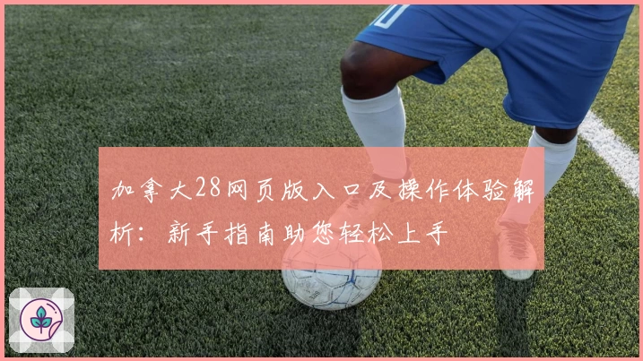 加拿大28网页版入口及操作体验解析：新手指南助您轻松上手