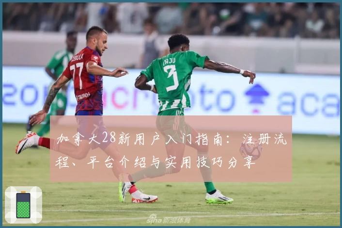 加拿大28新用户入门指南：注册流程、平台介绍与实用技巧分享