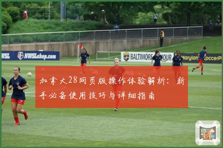 加拿大28网页版操作体验解析：新手必备使用技巧与详细指南