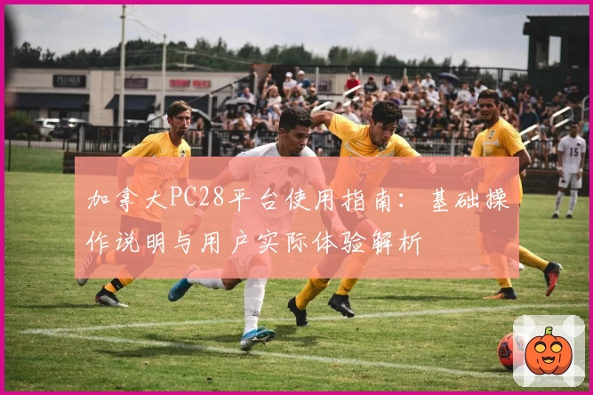 加拿大PC28平台使用指南：基础操作说明与用户实际体验解析