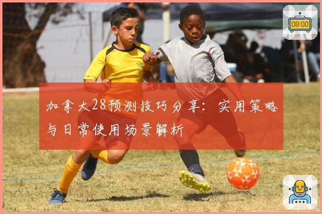 加拿大28预测技巧分享：实用策略与日常使用场景解析